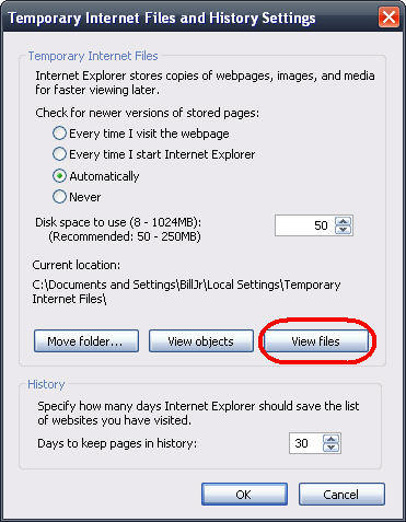 Reduce Temporary Internet File Space
